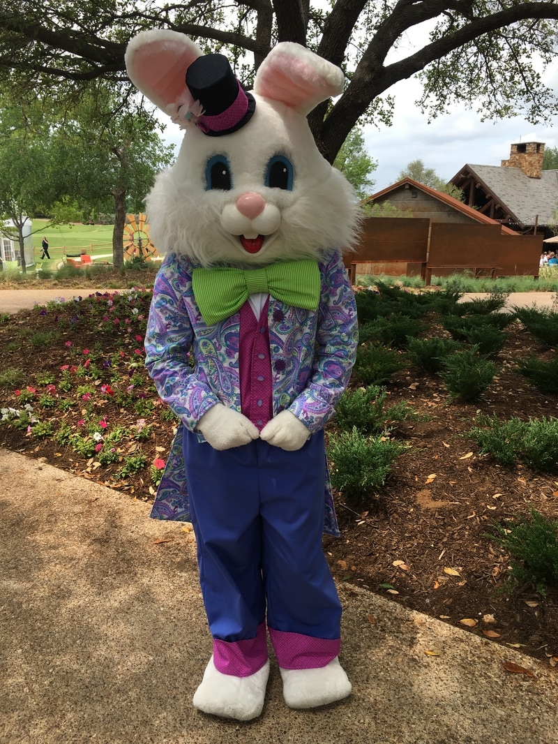 easter bunny rental, dallas, rent easter bunny dfw